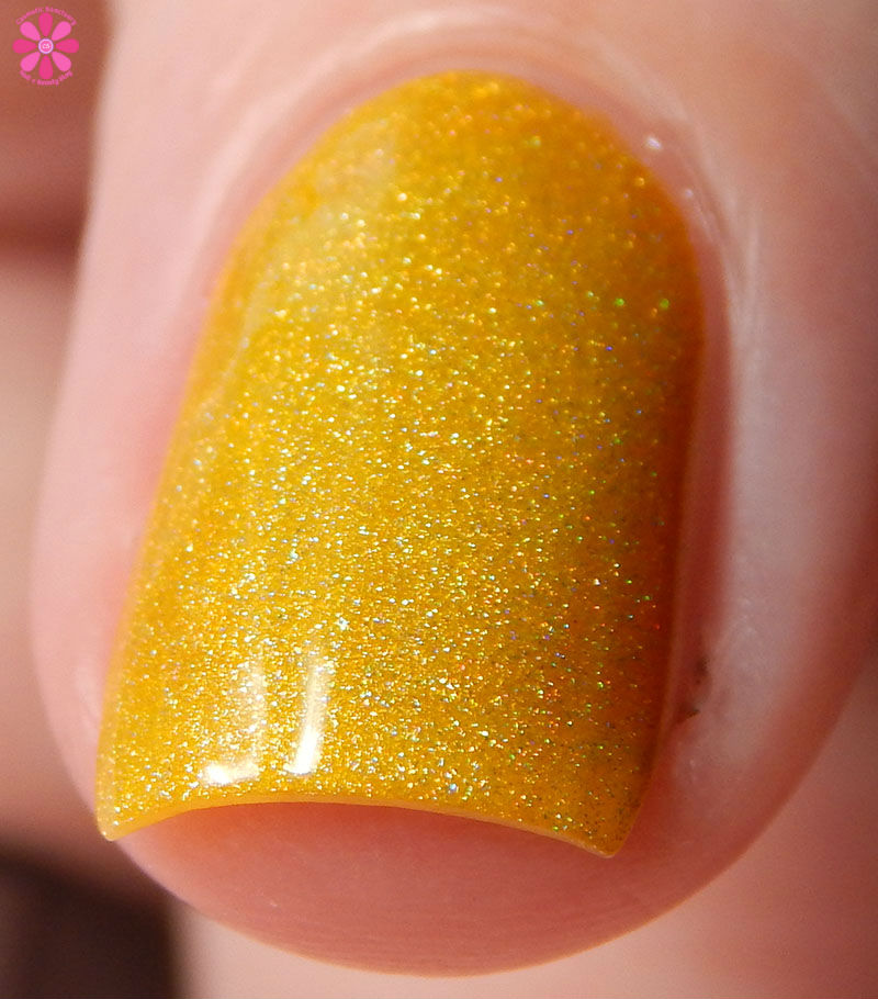 Cupcake Polish Summer 2016 The Olympics Collection Swatch Review