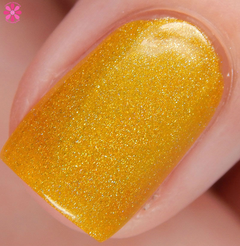 Cupcake Polish Summer 2016 The Olympics Collection Swatch Review