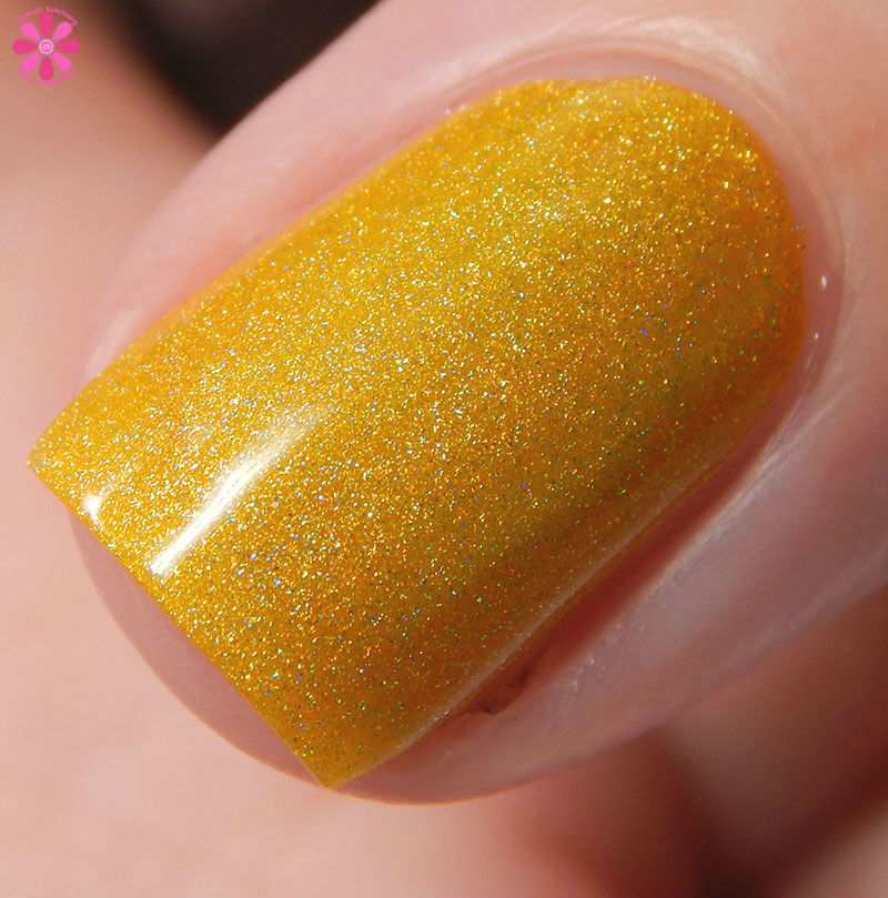 Cupcake Polish Summer 2016 The Olympics Collection Swatch Review