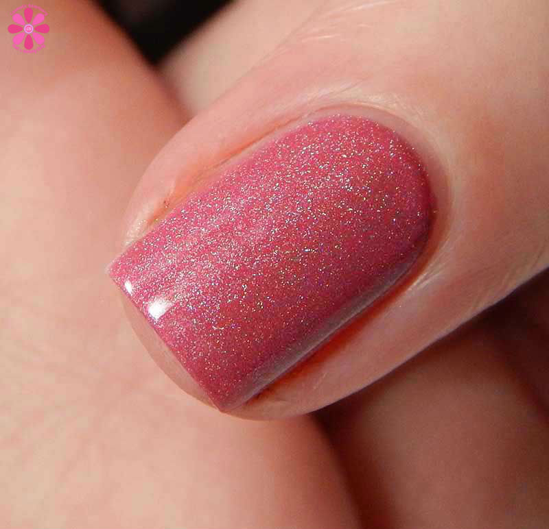 Serum No 5 Lucky Colors of the Chinese Zodiac Collection Swatches and