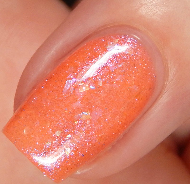 Nail Hoot | Spring Break Collection Swatches and Review